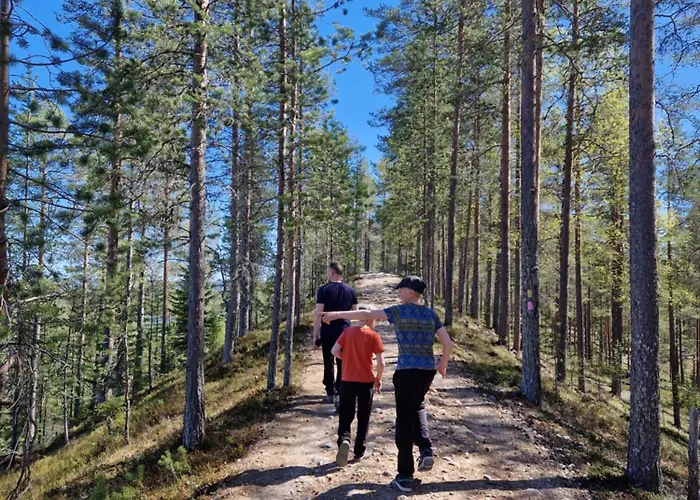 Apartamento Ainola 2 *